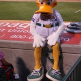 ven Long Island Ducks mascot, QuackerJack, needs a rest, occasionally. This was during a game Tuesday, July 24, 2012 at Bethpage Ballpark in Central Islip. Photo by Joshua Odam