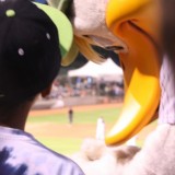 Long Island Ducks mascot QuackerJack gives a fan an autograph. (July 24, 2012) Photo by Joshua Odam